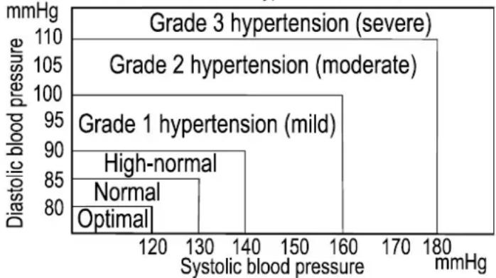 A&D Médical UA-1020 - Blood Pressure Variations - 1