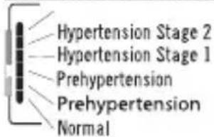 Hypertension Stage 2 Hypertension Stage 1 Prehypertension Prehypertension Normal