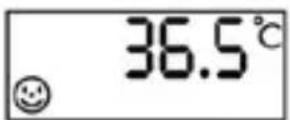INVENTUM MT50 - Gebruik van de thermometer - 5