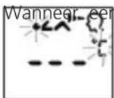 MEDISANA FTN - AANWIJZINGEN, - 3