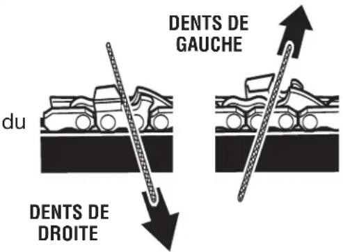 HOMELITE UT10680 - AVERTISSEMENT : - 2