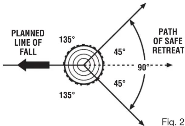 HOMELITE UT10680 - PROPER PROCEDURE FOR TREE FELLING - 2
