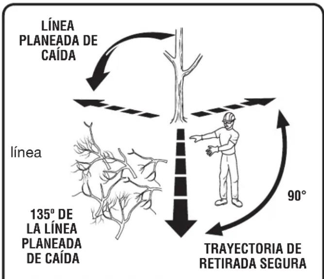 HOMELITE UT10680 - PROCEDIMIENTO CORRECTO PARA TALAR ÁRBOLES - 1