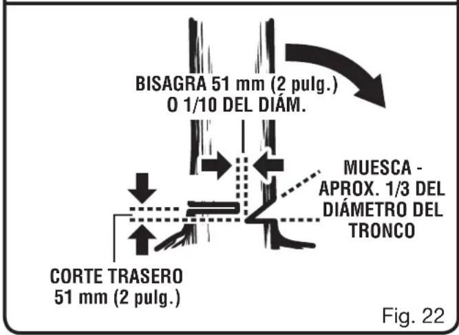 HOMELITE UT10680 - PROCEDIMIENTO CORRECTO PARA TALAR ÁRBOLES - 3
