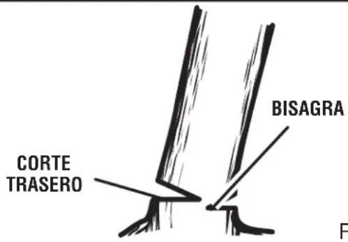 HOMELITE UT10680 - TRONZADO - 1