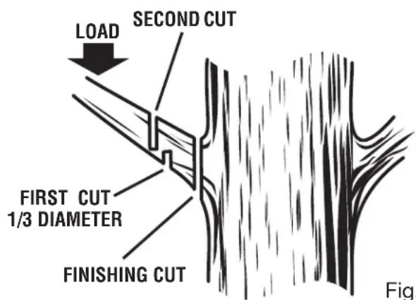 HOMELITE UT10680 - CUTTING SPRINGPOLES - 1