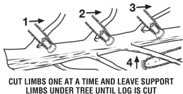 HOMELITE UT10680 - CUTTING SPRINGPOLES - 2