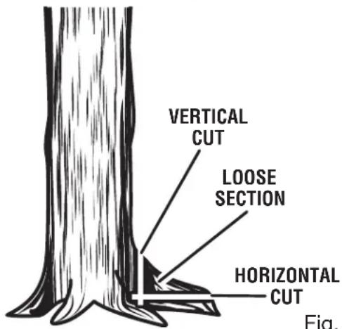 HOMELITE UT10680 - REMOVING BUTTRESS ROOTS - 3