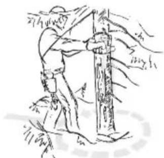 HUSQVARNA 353G E-Tech TrioBrake - Émondage des branches basses et voie de retraite - 1