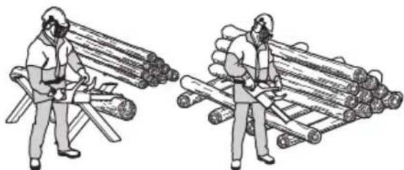 HUSQVARNA 545 TrioBrake - Entasten - 3