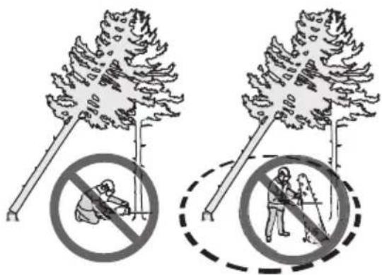 HUSQVARNA 550 XP G - Para liberar un árbol atascado - 2