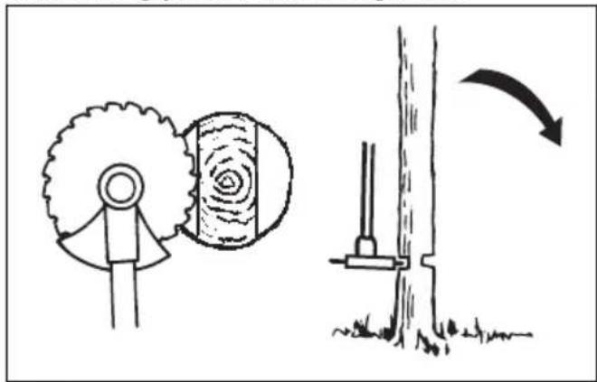 MCCULLOCH CS 340 - Podiranje velikih dreves - 2