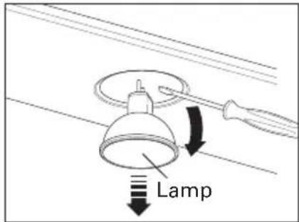 FALMEC Step - SPOTLIGHT - 2