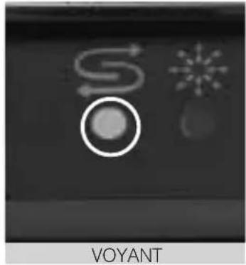 S Voyant