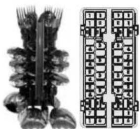 Pelgrim GVW445ONY - Cutlery basket (loading example) - 1