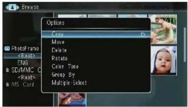 Browse Options Copy Move Delete Rotate Color Tone Group By Multiple-Select