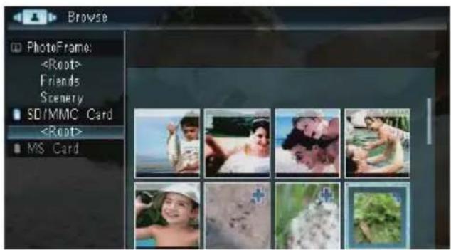 Browse PhotoFrame: Friends Scenery SD/MMC Card MS Card