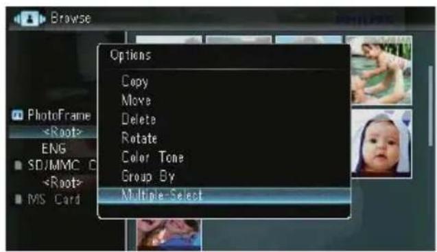 Browse Options Copy Move Delete Rotate Color Tone Group By Multiple-Select