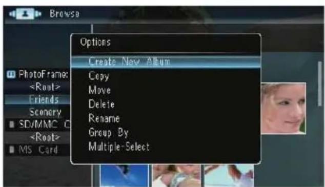 Browse Options Create New Album Copy Move Delete Rename Group By Multiple-Select