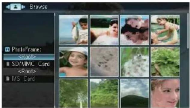 Browse PhotoFrame: SD/MMC Card MS Card