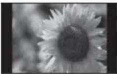 SONY DPF-D710 - Mode Affichage simple (affichage d'une seule image) - 1