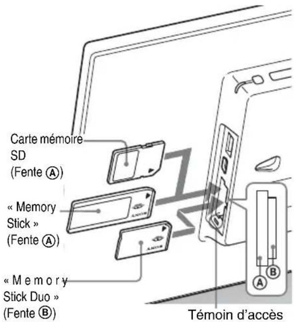 Carte mémoire SD (Fente Ⓐ) « Memory Stick » (Fente Ⓐ) « Memory Stick Duo » (Fente Ⓐ) Témoin d'accès