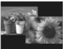 SONY DPF-D830 - Affichage du Diaporama - 7