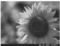 SONY DPF-D830 - Affichage du Diaporama - 6
