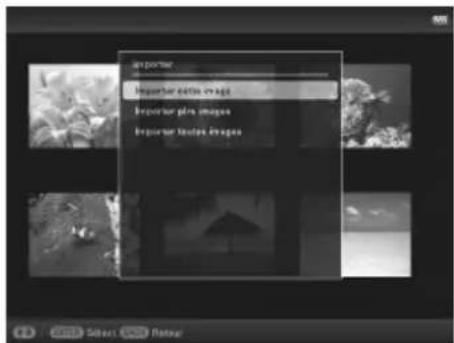 exporter Importer details image Importer files images Importer IDs images