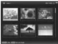 SONY DPF-D830 - Affichage de l'Index - 1