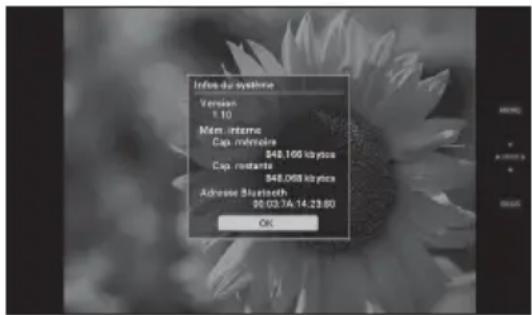 Info-dur synthase Version: 10 Mam interne Cap. mbyteokre 848.166 kbytes Cap. restante 848.068 kbytes Adresse Bluetooth 96.003.1A 14.23.80 OK
