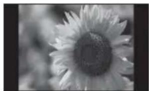 SONY DPF-V800 - Mode d'affichage d'une seule image - 1
