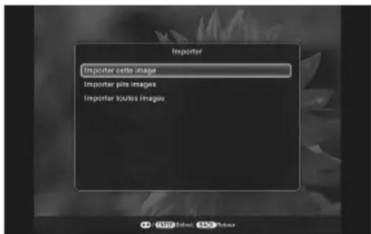 Importer Importer cette image Importer pie images Importer slices image