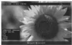 SONY DPF-VR100 - Mode Affichage simple (affichage d'une seule image) - 4