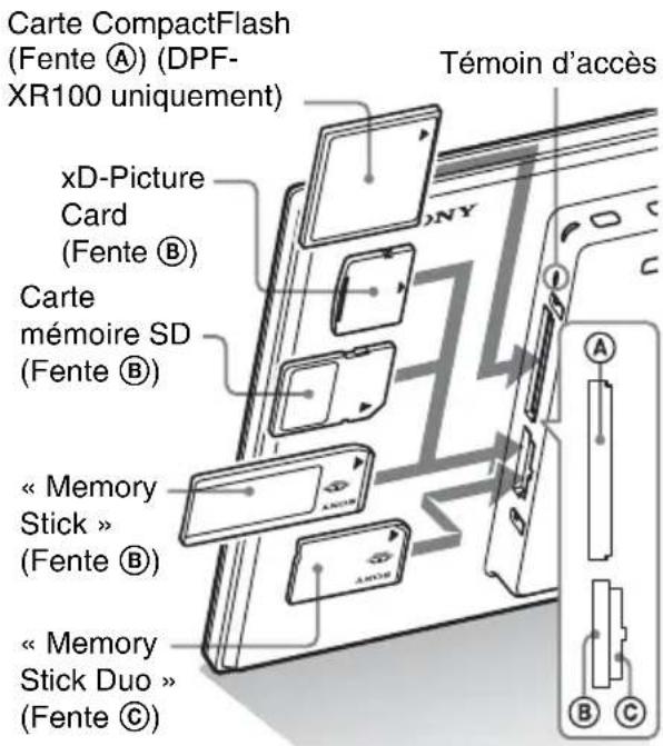 Carte CompactFlash (Fente Ⓐ) (DPF- XR100 uniquement) Témoin d'accès xD-Picture Card (Fente Ⓐ) Carte mémoire SD (Fente Ⓐ) « Memory Stick » (Fente Ⓐ) « Memory Stick Duo » (Fente Ⓐ)