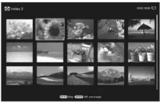 SONY DPF-VR100 - Affichage de l'index - 1