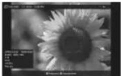 SONY DPF-VR100 - Mode Affichage simple (affichage d'une seule image) - 3