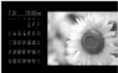 SONY DPF-VR100 - Affichage du diaporama - 8