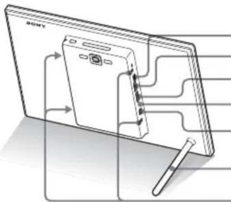 SONY