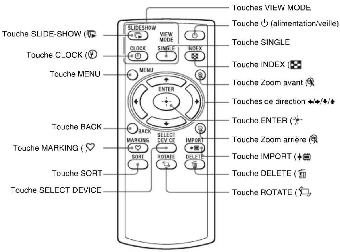 Touches SLIDE-SHOW () Touche CLOCK () Touche MENU Touche BACK Touche MARKING () Touche SORT Touche SELECT DEVICE SLIDESHOW VIEW MODE CLOCK SINGLE INDEX MENU ENTER BACK MARKING SELECT DEVICE SORT ROTATE IMPORT DELETE Touches VIEW MODE Touche ⏻ (alimentation/veille) Touche SINGLE Touche INDEX () Touche Zoom avant () Touches de direction ←/→/↓/↑ Touche ENTER () Touche Zoom arrière () Touche IMPORT () Touche DELETE () Touche ROTATE ()
