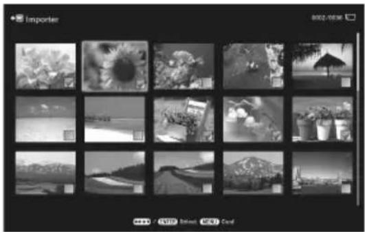 SONY DPF-VR100 - Conseil - 4