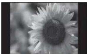 SONY DPF-X800 - Mode d'affichage d'une seule image - 1