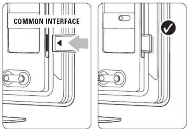COMMON INTERFACE