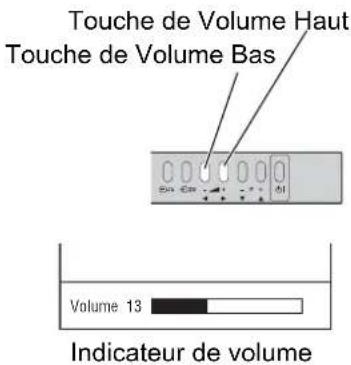 HITACHI P50TP01E - Sourdine - 1