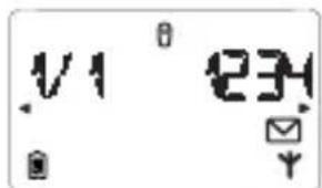 1/1 234