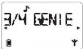 3/4 GENIE.