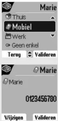 Marie Thuis Mobiel Werk Geen enkel Terug Valideren Marie Marie 0123456780 Wijzigen Valideren