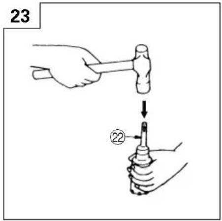 23 ②