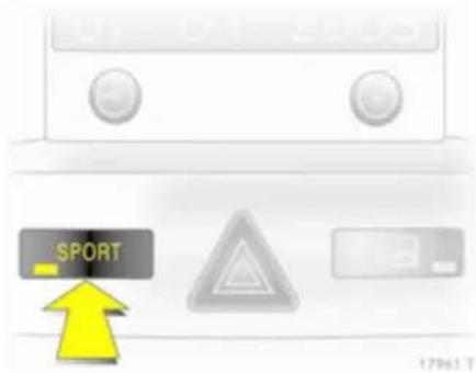 SPORT 17961 T