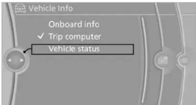 BMW X6 xDrive50i (2013) - Automatic Service Request - 1